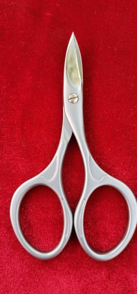 Ножницы для ногтей EUROpani Р02 (01-Р02)