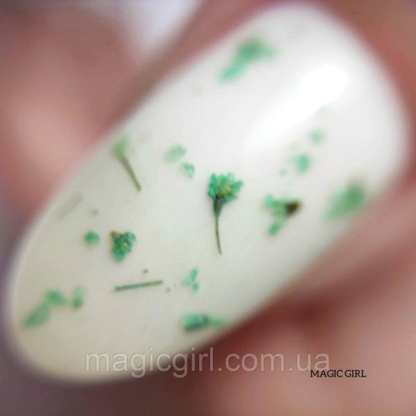 Гель сухоцвіти Flowers Gel Зелений, 5мл